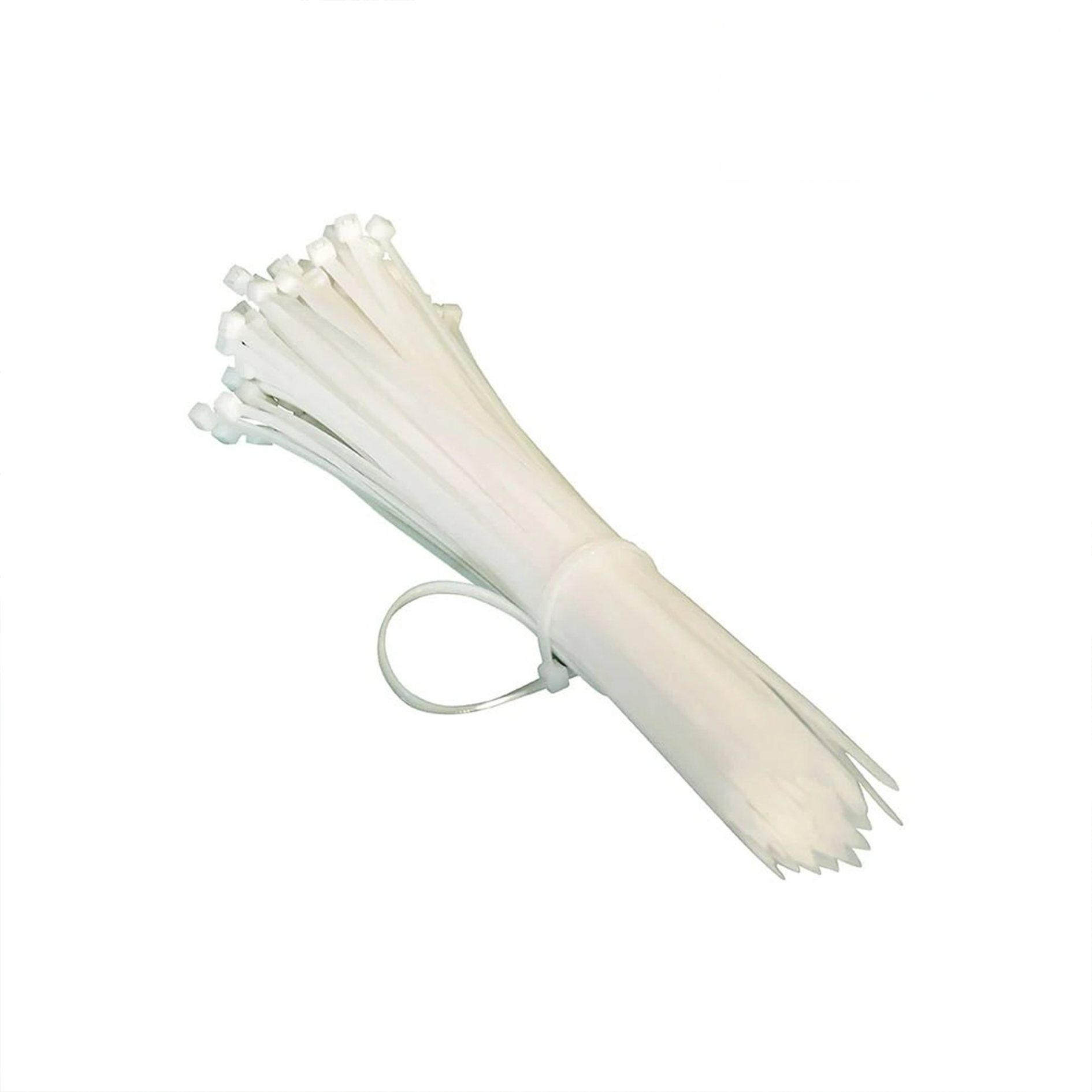 Lien de Fixation Plastique (Sac de 100 Pièces)