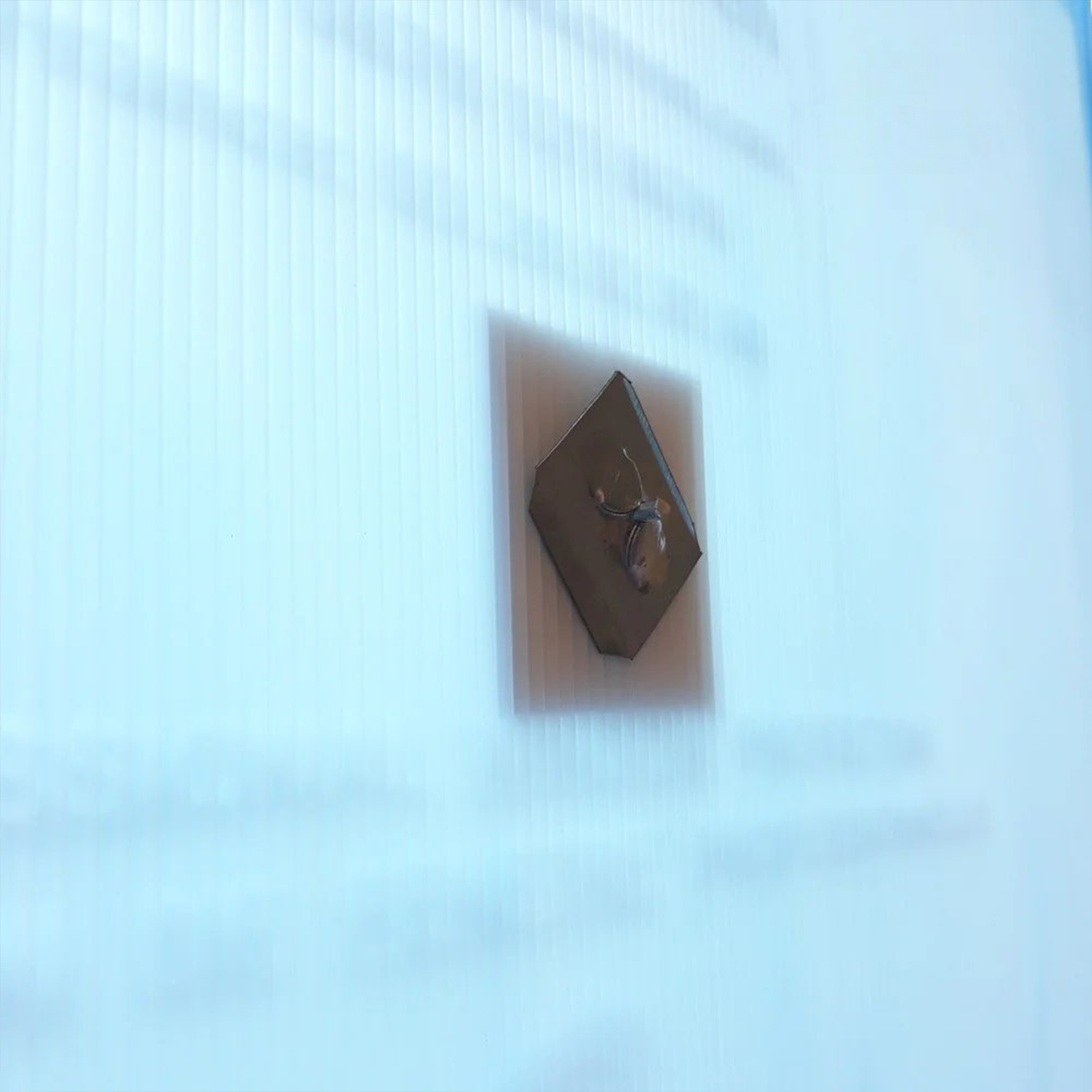 Fixation auto adhésive + rondelle 40mm (x500)